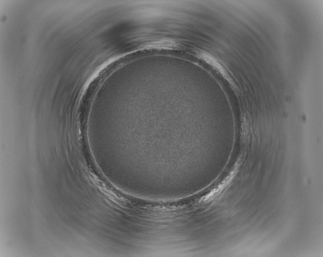 X0000070370923200606161313