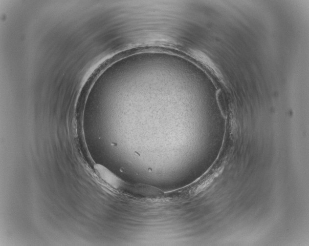 X0000070370924200606161313