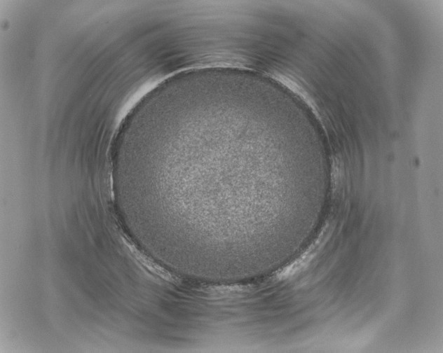 X0000070370925200606161313