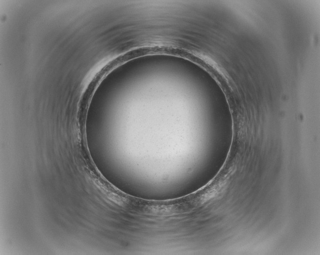 X0000070370927200606161313