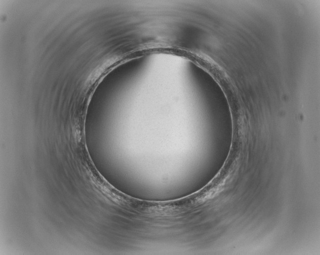 X0000070370929200606161313