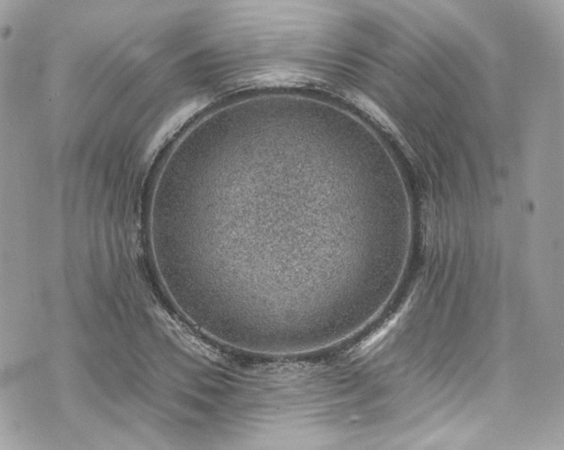 X0000070370930200606161313