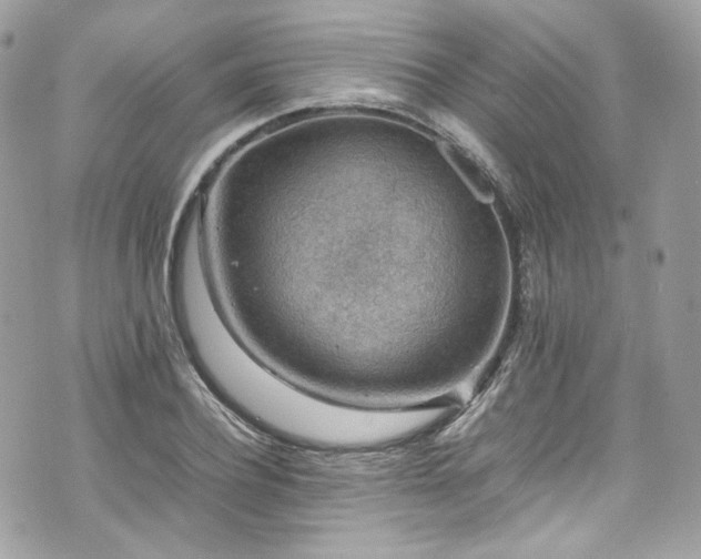 X0000070370932200606161313