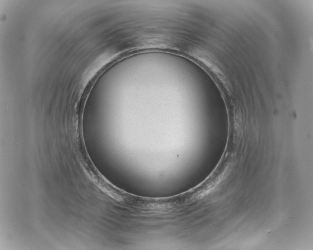 X0000070370933200606161313