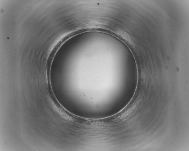 X0000070370934200606161313