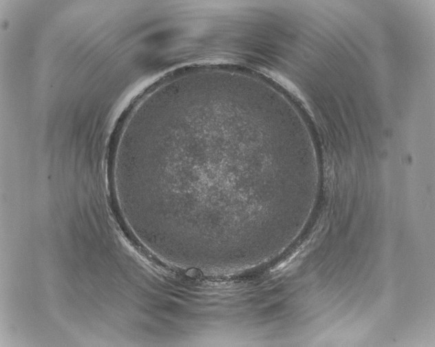 X0000070370935200606161313