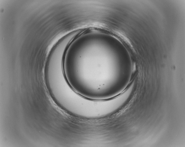 X0000070370936200606161313