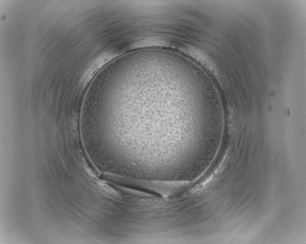 X0000070370937200606161313