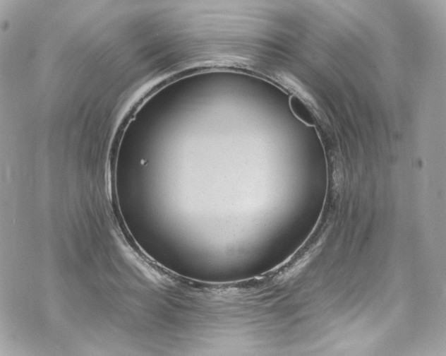 X0000070370940200606161313