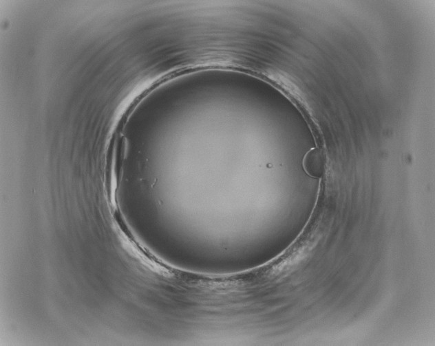 X0000070370941200606161313