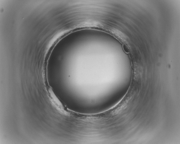 X0000070370942200606161313