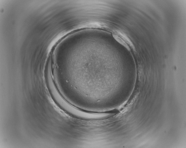 X0000070370944200606161313