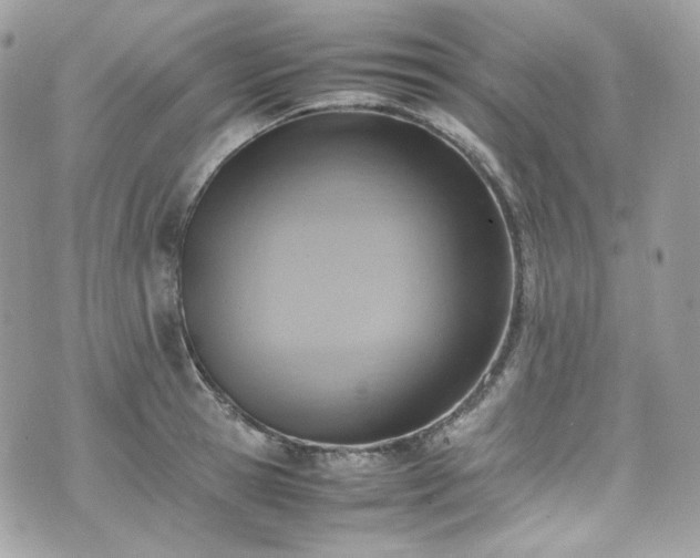 X0000070370945200606161313