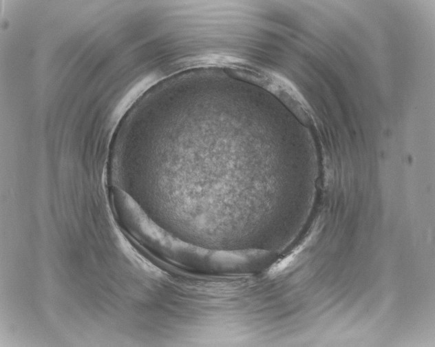 X0000070370946200606161313