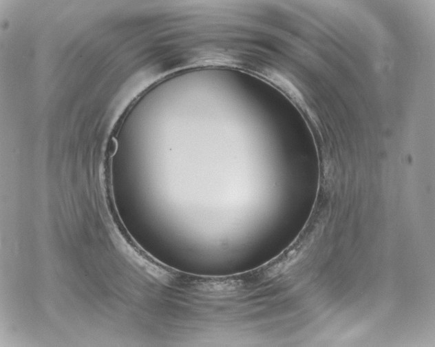 X0000070370947200606161313