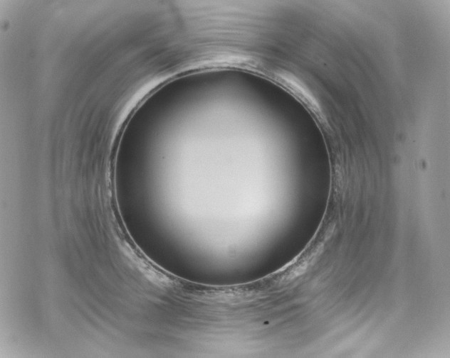 X0000070370948200606161313