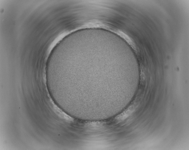 X0000070370950200606161313