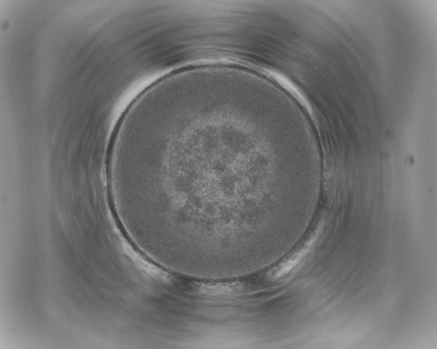 X0000070370951200606161313