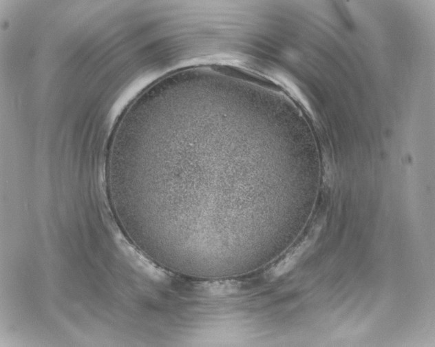 X0000070370952200606161313