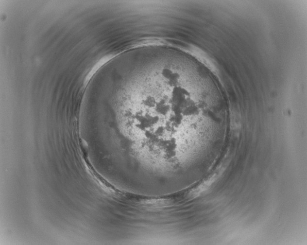 X0000070370953200606161313