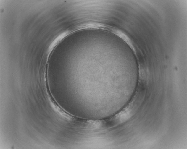 X0000070370954200606161313