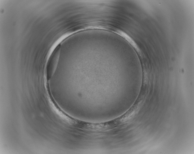 X0000070370955200606161313