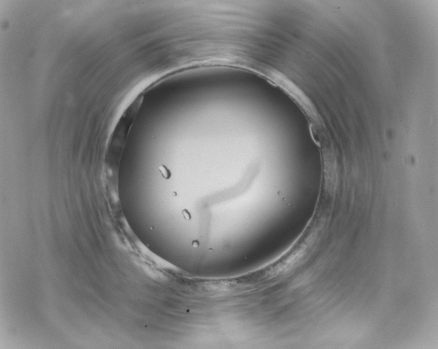 X0000070370956200606161313