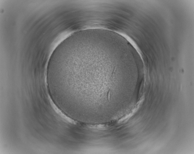 X0000070370957200606161313