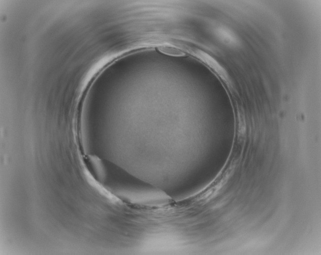 X0000070370958200606161314