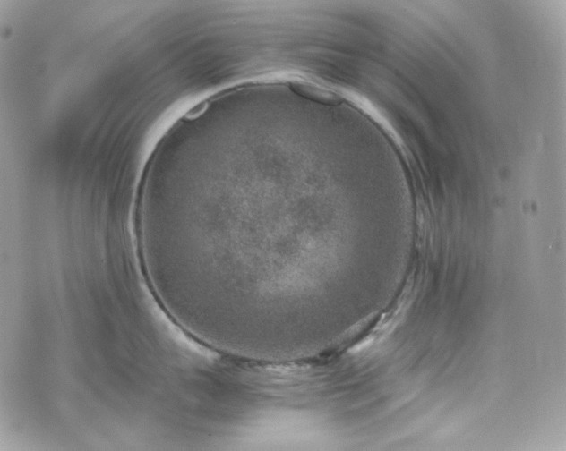 X0000070370959200606161314