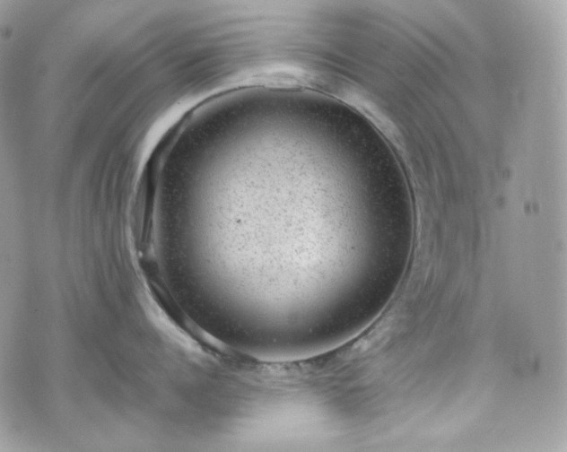 X0000070370960200606161314