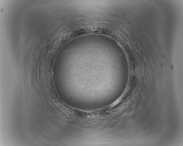 X0000070370961200606161313