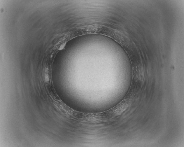 X0000070370962200606161313