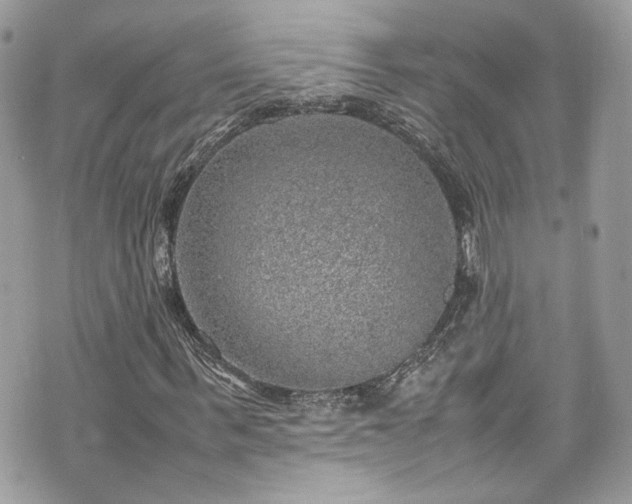 X0000070370963200606161313