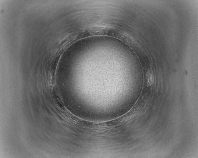 X0000070370964200606161313