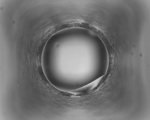 X0000070370965200606161313