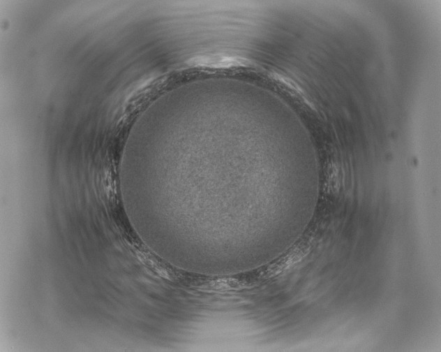 X0000070370966200606161313