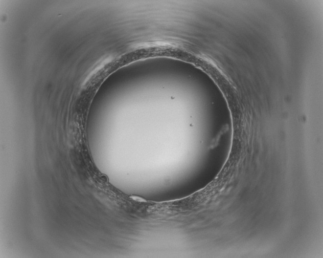 X0000070370967200606161313