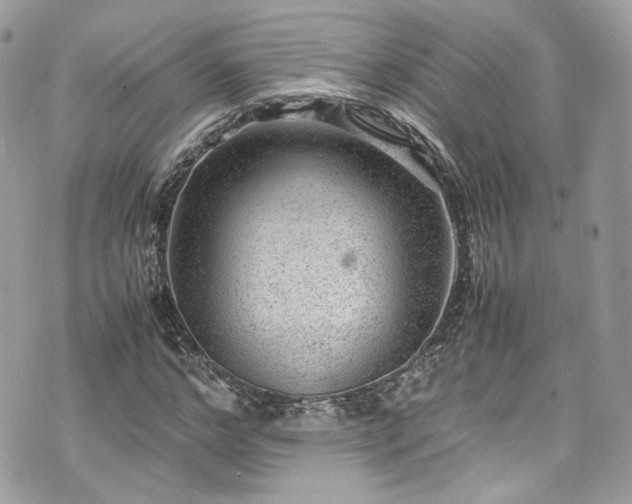 X0000070370968200606161313