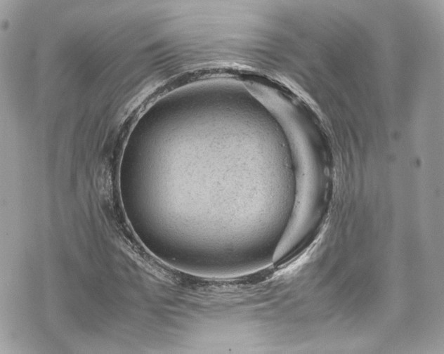 X0000070370969200606161313