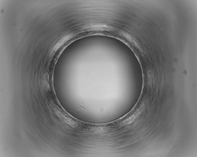 X0000070370970200606161313