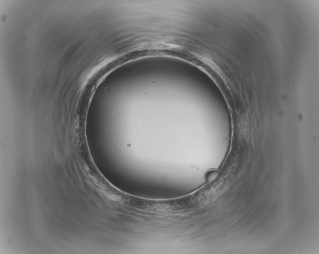 X0000070370971200606161313