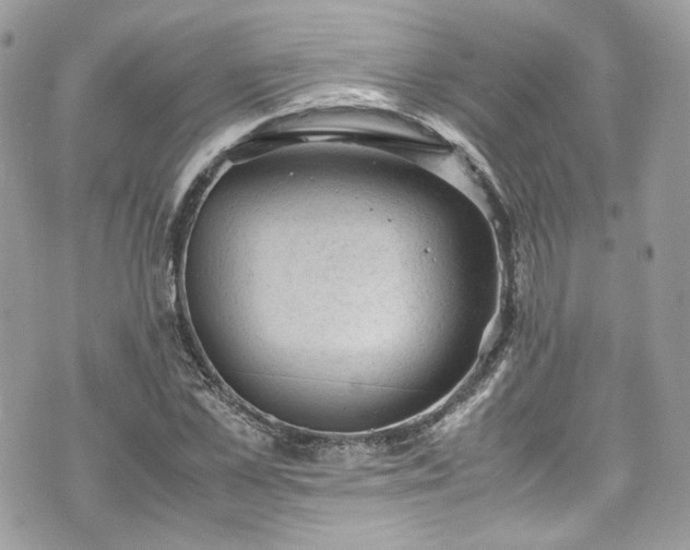 X0000070370973200606161313