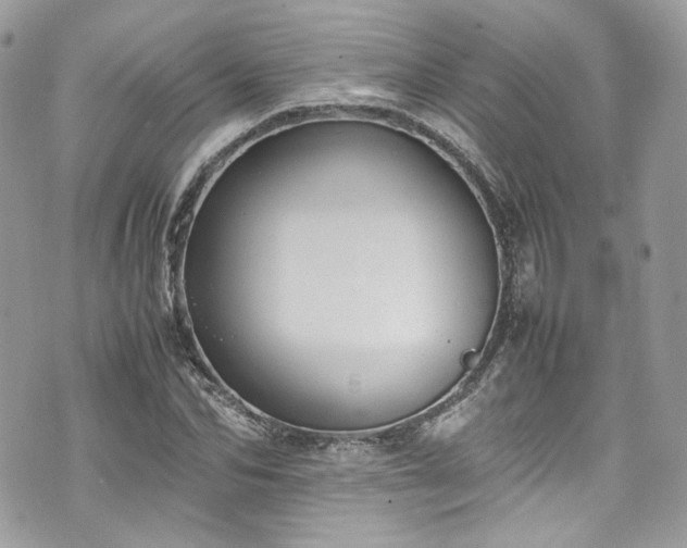 X0000070370974200606161313