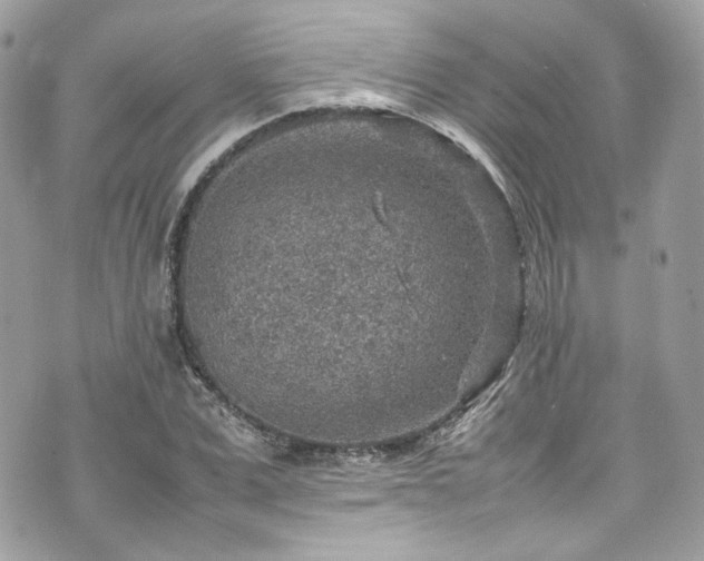 X0000070370975200606161313