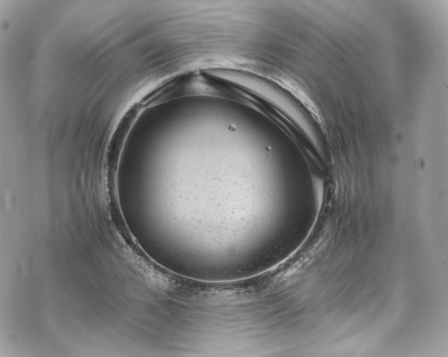 X0000070370976200606161313