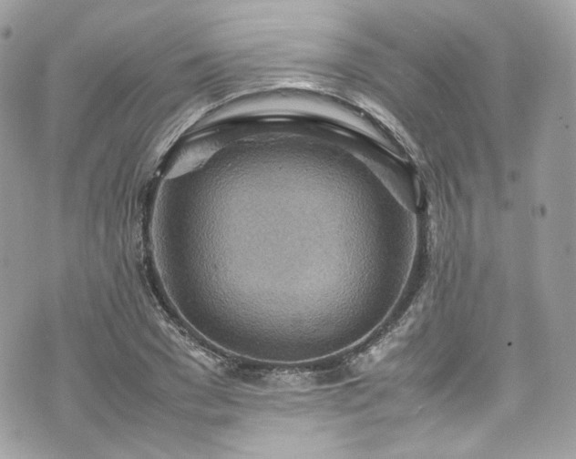 X0000070370977200606161312