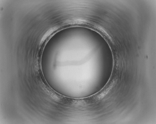 X0000070370978200606161312