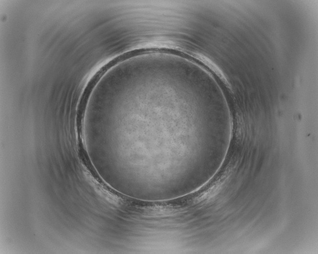 X0000070370980200606161312