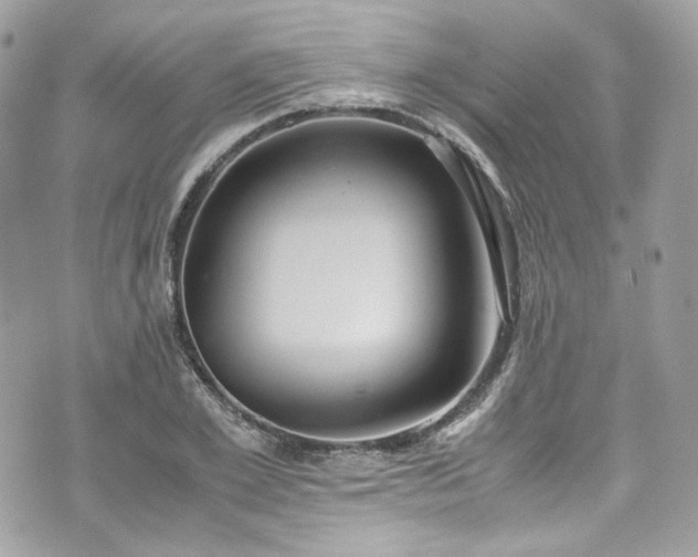 X0000070370981200606161312